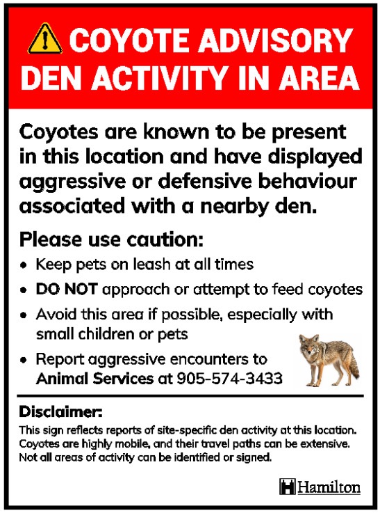 coyote – Brad Clark Report